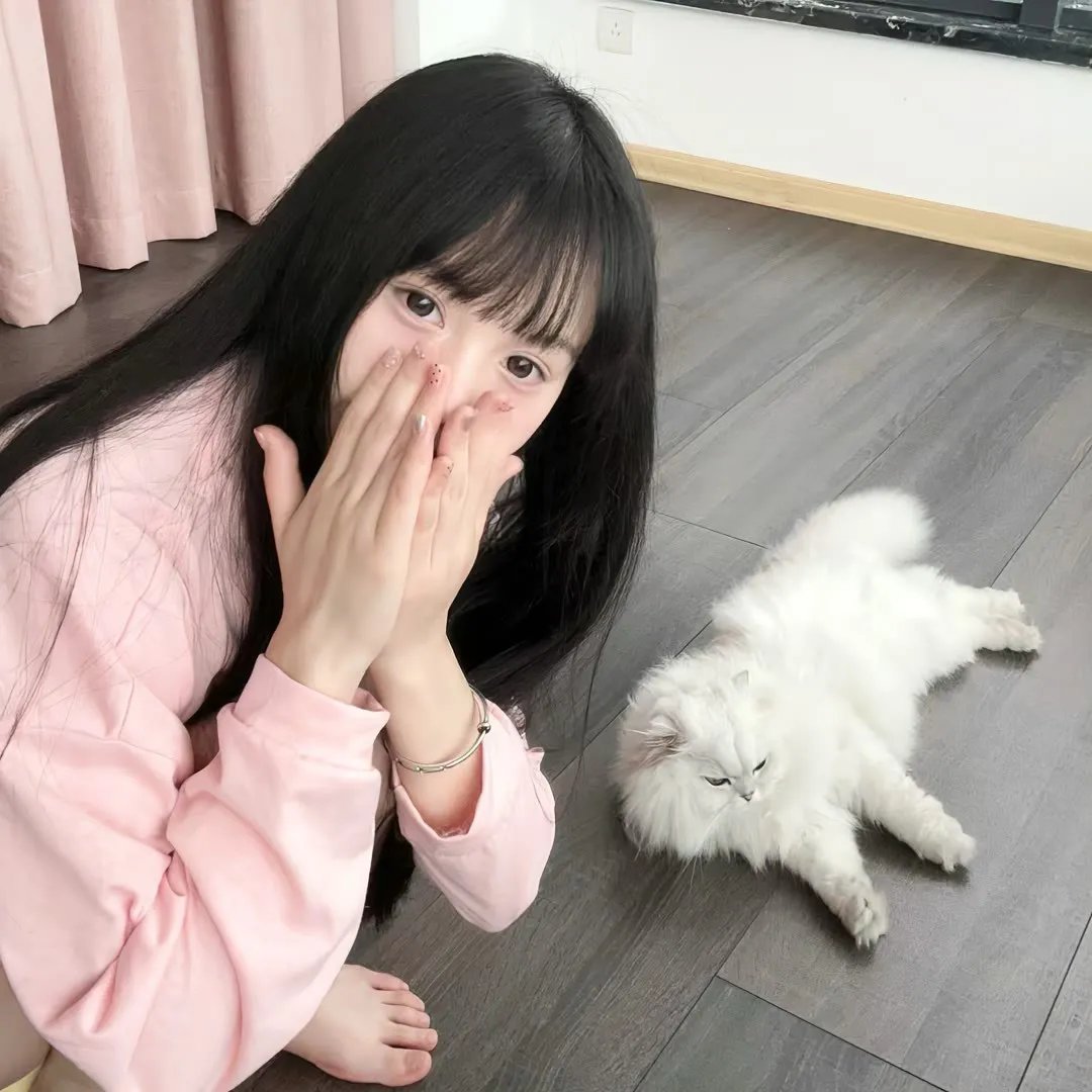摩登50